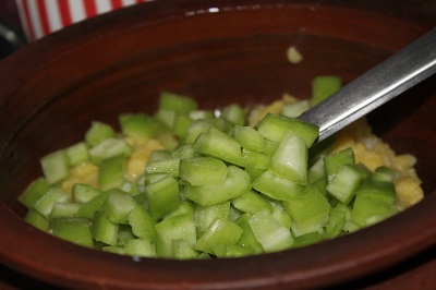 snake gourd molakushyam2