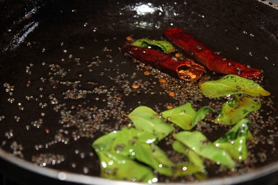 snakegourd molakushyam3