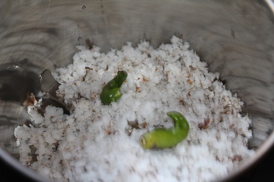 coconut chutney