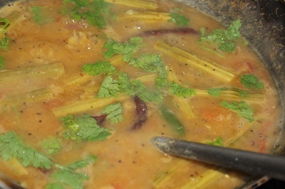 sambar-8