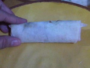 vegetable spring rolls (7)