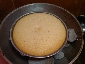 custard cake recipes (2)
