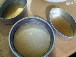 custard cake recipes (3)