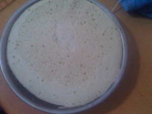 mocha chiffon cake (9)