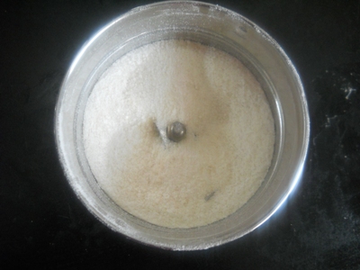custard rice kheer recipe (2)
