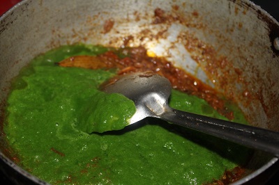 palak-paneer-7