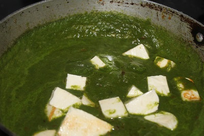 palak-paneer-8