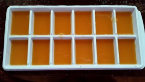 MANGO COCONUT MILK JELLY