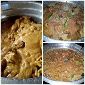 chicken curry 8